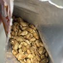 푸드씨 | [찐 후기] 플라워푸드 구운 해바라기씨 꿀맛, 한 번 맛보면 멈출 수 없는 마성의 간식!