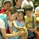 초가을 길목 '도자기축제" 이미지