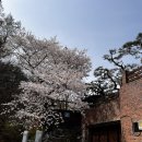 나도약국 | 금선사 템플스테이 휴식형 솔직후기🪷