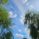 지동농장 이미지