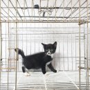 성진동물병원 이미지