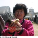 엘림환경 이미지