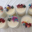 군산해성초등학교 이미지