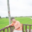 탑행복한약국 | 다낭 여행 한시장 약국 쇼핑 비판텐 센시데일리, 잇몸 치약, 아보카도 립밤