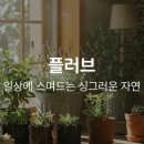 봄에허브