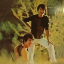 포크기타 (연주) 이미지