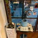 조치원_세종서창행복주택 | 세종 조치원 분위기 좋은 브런치 카페 솜브