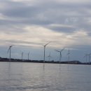 탐라태양광발전소 이미지