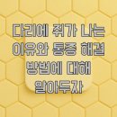 SGEM서본녹색환경기계 | 다리에 쥐가 나는 이유와 통증 해결 방법에 대해 알아두자
