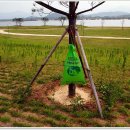 낙동강자전거길2 이미지