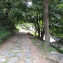 원풍카 Daum카페