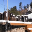 메밀만두 이미지