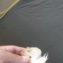 방태산솔마루캠핑장 이미지