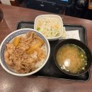 대불약국 | 8월 나고야 여행 2일차(나고야 근교 기후현 여행, 기후성 상점가, 다람쥐마을, 기후시 구경)