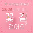 태백태권도장 이미지