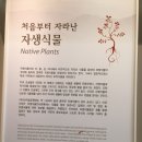 힐링밸리민박 이미지