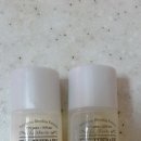 더 펫 애견샾 이미지