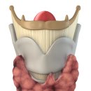 갑상선 질병들(thyroid gland's diseases) 이미지