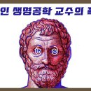 코oo 흰고무신은 사실 제약회사의 상술이었다.(펌) 이미지