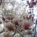 미득골 가든 이미지