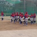 사당초등학교 Daum카페