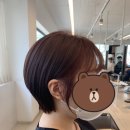 나눌헤어 목동점 | 나눌헤어 목동아카이브점 후기
