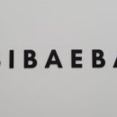 비비배배