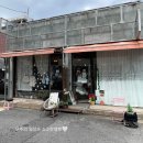 우리애견 | 여수애견동반카페, 오늘우리의온도 방문 다녀온 후기 (브런치 즐기기)