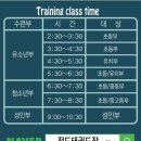 정도태권도