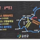 금강솔바람길 이미지