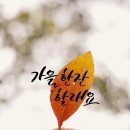 붓펜캘리그라피 이미지