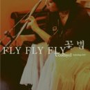 신세대 해금연주자 꽃별(Ccotbyel)의 음반 "Fly Fly Fly" 이미지