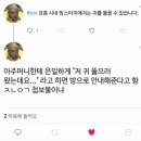 맘스터치강릉 이미지
