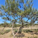 조형주유소 이미지