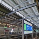 백조세탁소 | 24. 8 태국여행🇨🇷 (2) 치앙마이