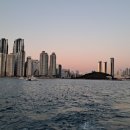 좌동순환로 480 이미지