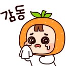 고치소우 - 중구 대청로138번길 11 | 고치소우