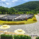 장단콩웰빙마루 이미지