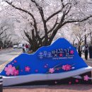 돌담길전동스쿠터대여