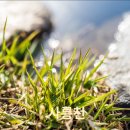 진건우회로63 이미지