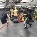 제로베이직스튜디오