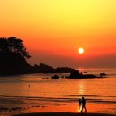 학암포 주차장 이미지