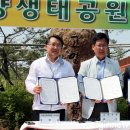 고양제비 이미지