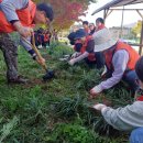 남양 열린운동장 이미지