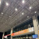 YOLO BEACH | 3박5일 필리핀 자유여행 세부/모알 보알 첫째날