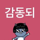 야구 무시하고 도영콘이나 들어와 (NCT 도영 솔로콘서트 후기, 250614)