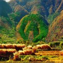 상리마을회관 앞 이미지