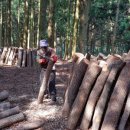 새참농장 이미지