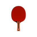 탁구(초급) 이미지