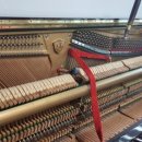 우신그린피아 이미지